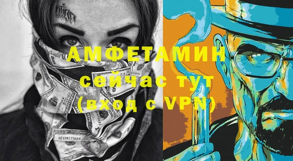 прущие грибы Баксан