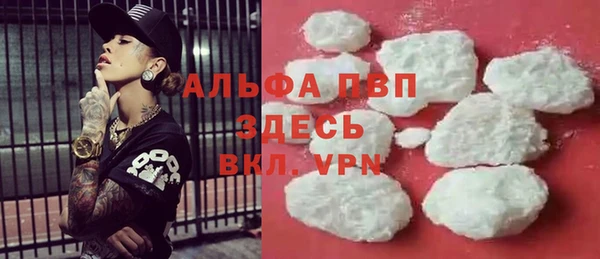 шишки Белоозёрский