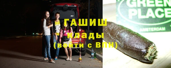 шишки Белоозёрский