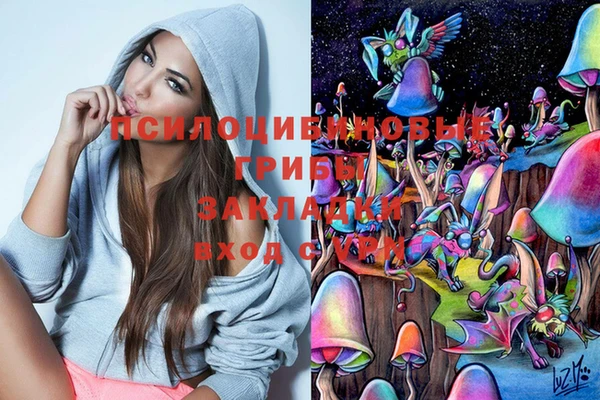шишки Белоозёрский