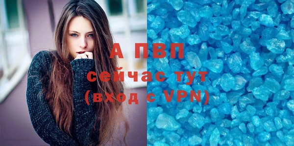 прущие грибы Баксан