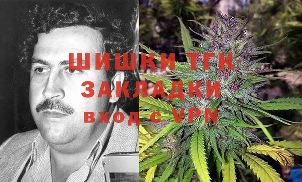 ГАЛЛЮЦИНОГЕННЫЕ ГРИБЫ Балабаново