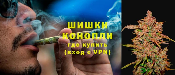 шишки Белоозёрский