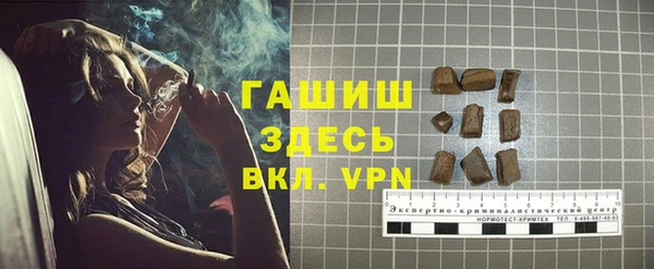 соль ск Белокуриха