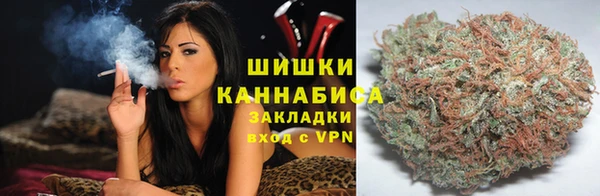 соль ск Белокуриха