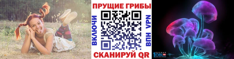 купить наркотики сайты Отрадное Галлюциногенные грибы Magic Shrooms